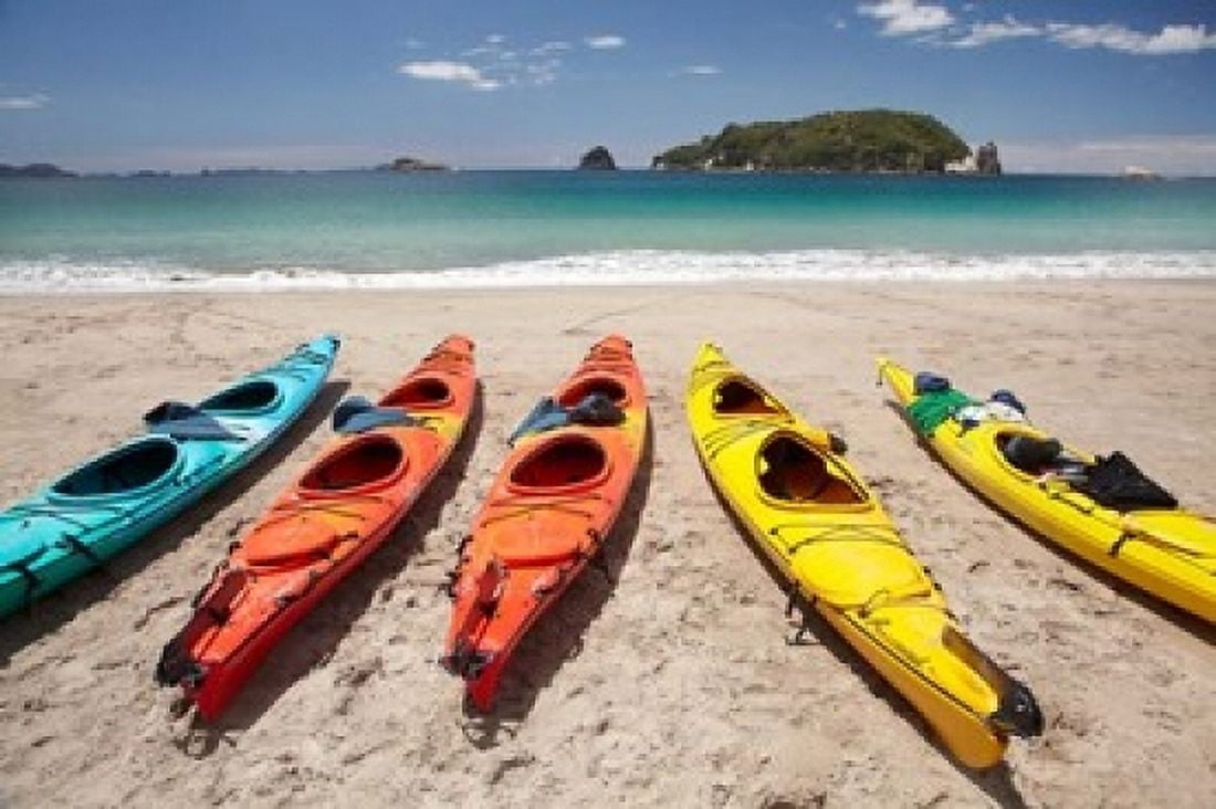 Kayaks on Beach Hahei Coromandel Peninsula North Island New Zealand Canvas Art - David Wall DanitaDelimont (19 x 12)