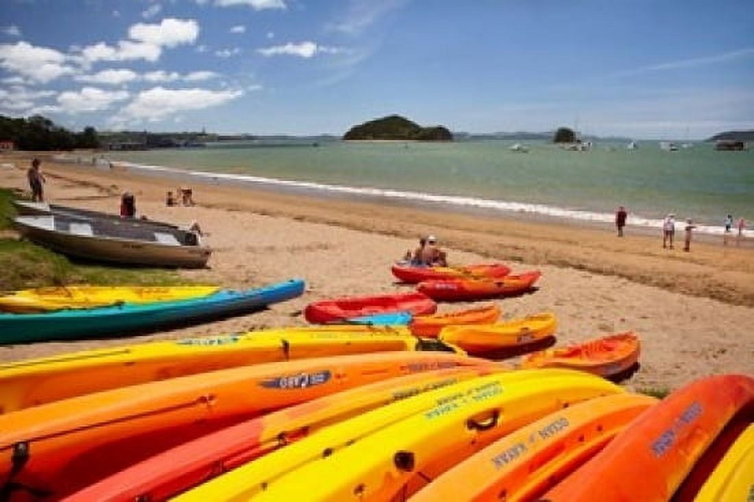 Kayaks on beach Paihia Bay of Islands Northland North Island New Zealand Canvas Art - David Wall DanitaDelimont (36 x 24)