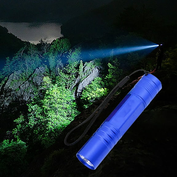 Kayannuo Home Essentials Mini Strong Light Flashlight Household Pocket LED Flashlight Portable Promotional Gift Small Flashlight Gifts for Women and Men( Dark Blue)