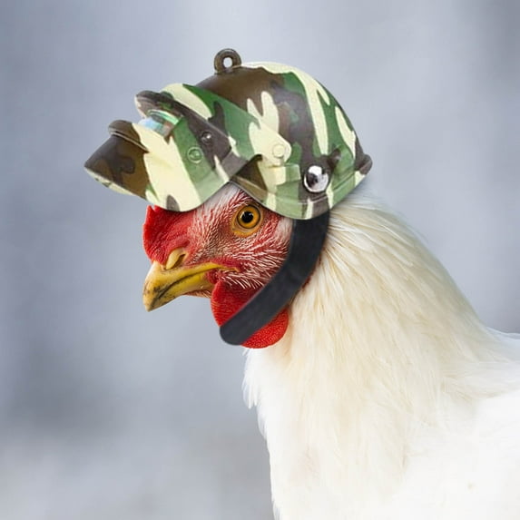 Kayannuo Outdoor Decor Pet Products Protection Chicken Helmet Hen Hat Bird Hat Head Cover Graduation Gifts for Her ()