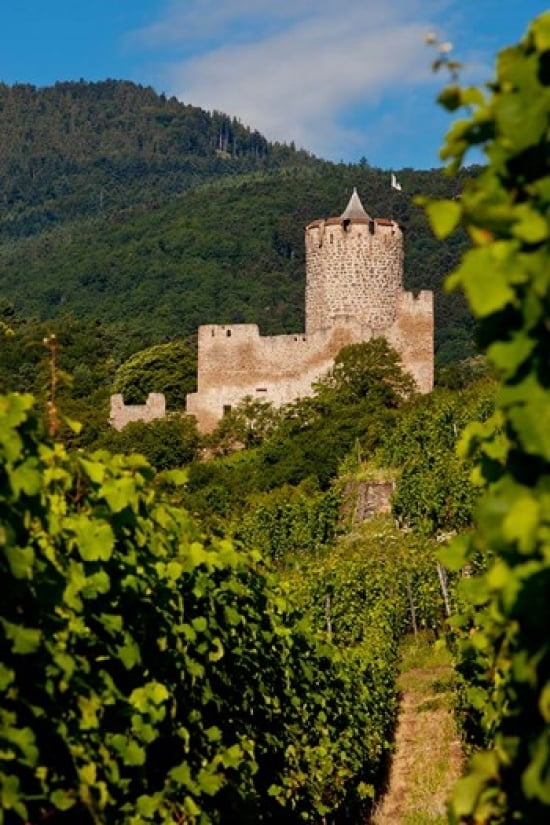 Kaysersberg Chateau Canvas Art - Brian Jannsen DanitaDelimont (24 x 36)