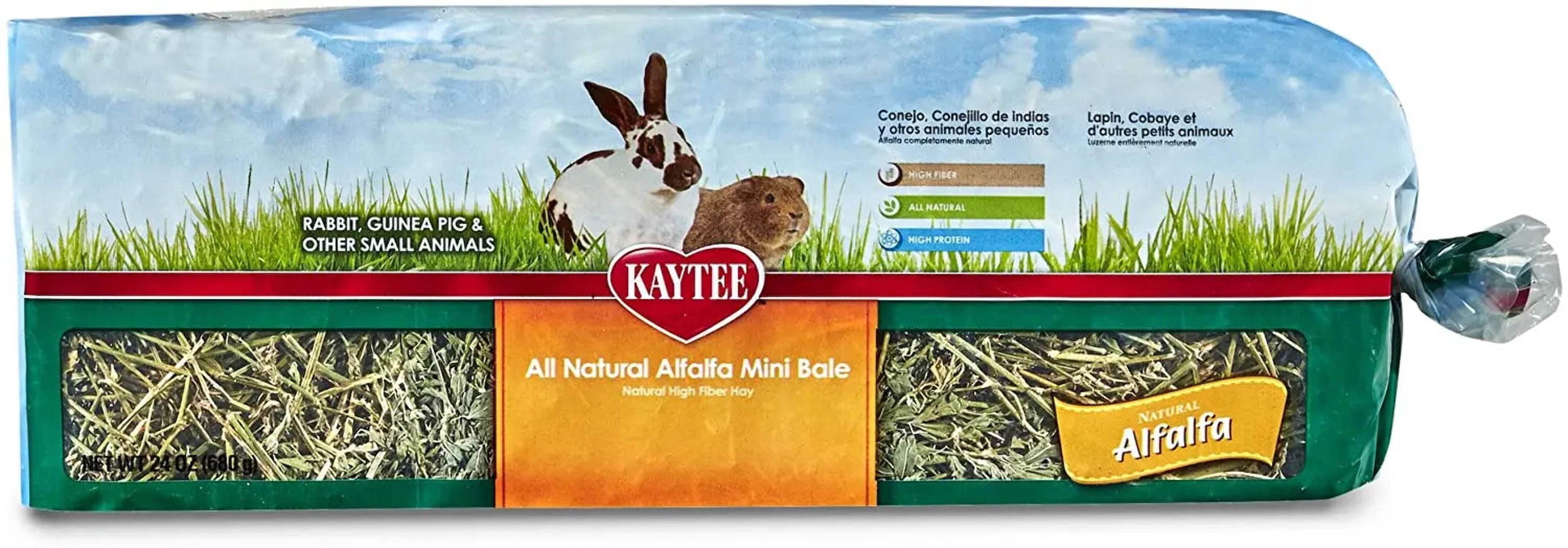 Kaytee All Natural Alfalfa Hay for Rabbits, Guinea Pigs and Small Animals - 100032084