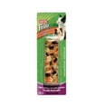 thumbnail image 1 of Kaytee Fiesta Fruit/raisin Small Animal Stick 2.25oz, 1 of 3