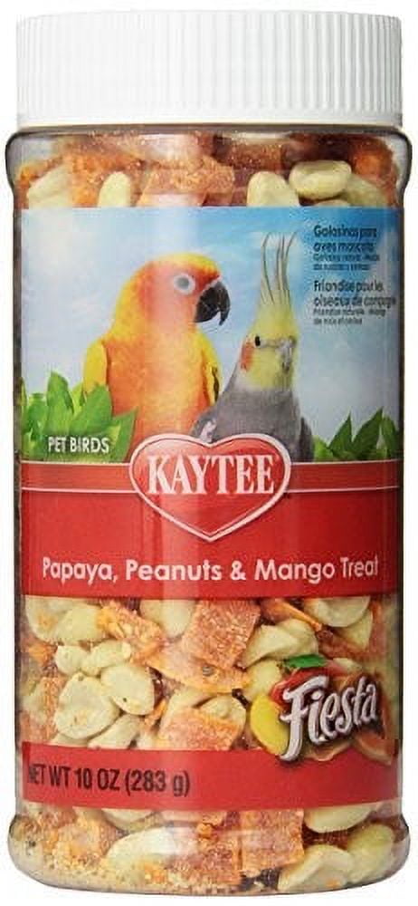 Kaytee Fiesta Papaya, Peanuts & Mango Bird Treats, 8-oz jar