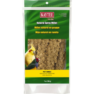 Kaytee Forti-Diet Pro Health Honey Pet Bird Treat Sticks For Parakeets, 2  Bars, 7 Ounce