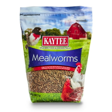 MEALWORMS POUCH 32OZ (Pack of 1)