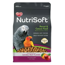 Kaytee supreme parrot food online