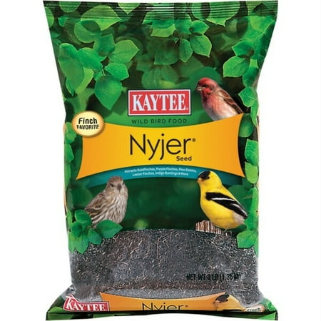 Kaytee Nyjer Songbird Nyger Thistle Seed Wild Bird Food 3 lb