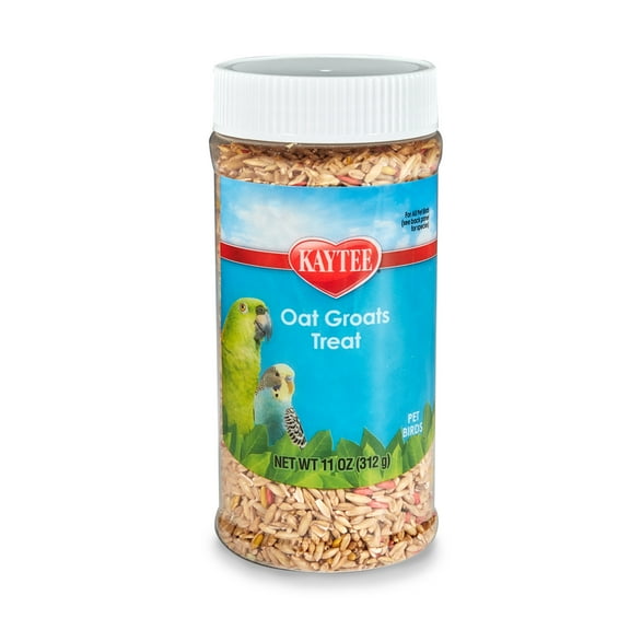 Kaytee Oat Groats Treat Jar for Pet Birds, 11 Ounces