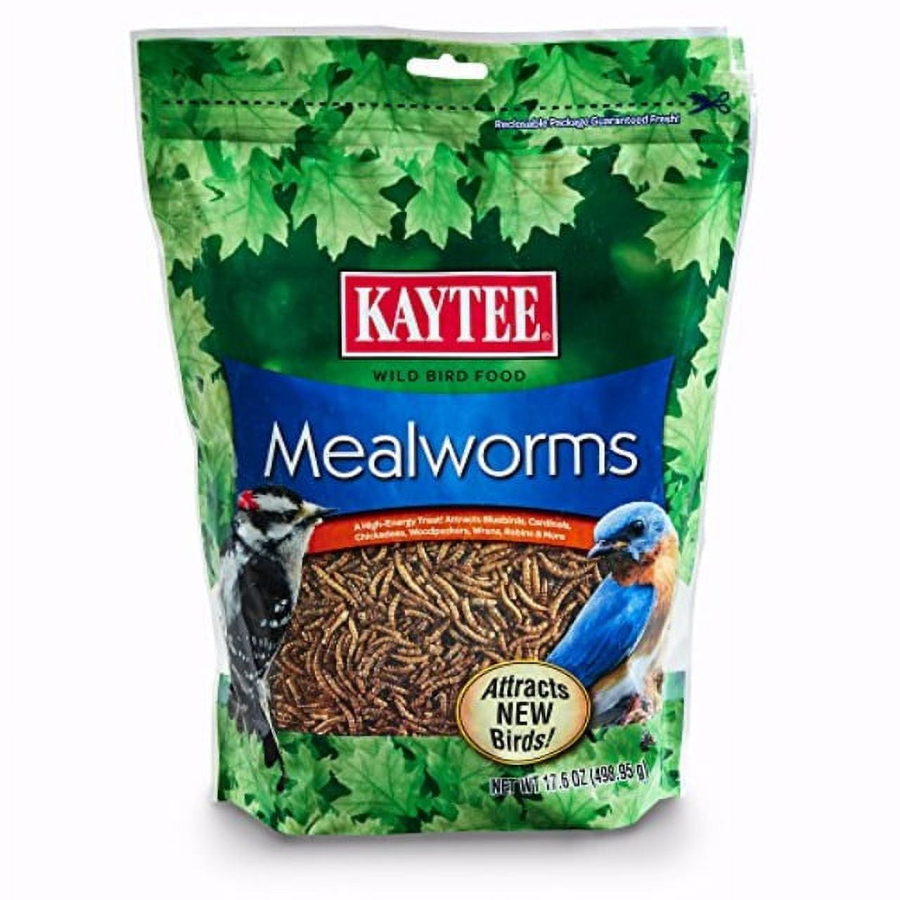 Kaytee Wild Bird Food Mealworms For Bluebirds, Wrens, Robins