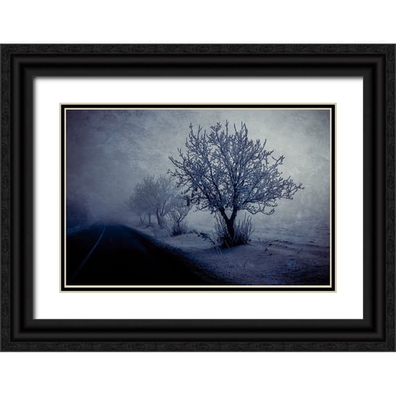Kazamil, Farid 18x13 Black Ornate Wood Framed with Double Matting Museum Art Print Titled - At night foggy