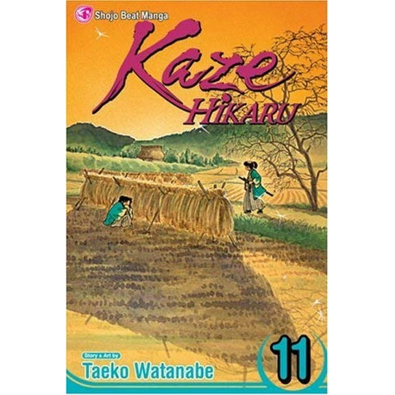 Pre-Owned Kaze Hikaru, Vol. 11, 11 (Paperback) 1421517361 9781421517360