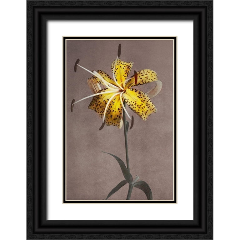 kazumasaishida Kazumasa, Ogawa 11x14 Black Ornate Wood Framed with Double Matting