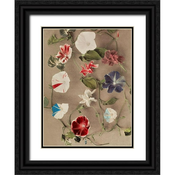 Kazumasa, Ogawa 12x14 Black Ornate Wood Framed with Double Matting Museum Art Print Titled - Group of Morning Glories