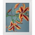 thumbnail image 1 of Kazumasa, Ogawa 26x32 White Modern Wood Framed Museum Art Print Titled - Lily III, 1 of 4