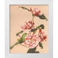 thumbnail image 1 of Kazumasa, Ogawa 26x32 White Modern Wood Framed Museum Art Print Titled - Striped Camellias, 1 of 4