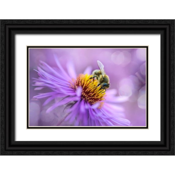 Kazun, Andrii 24x17 Black Ornate Wood Framed with Double Matting Museum Art Print Titled - Hard Worker