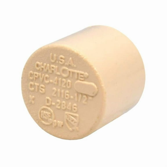 Charlotte Pipe CTS02116C0600 Drain Cap FlowGuard 1/2" Slip CPVC