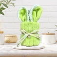 thumbnail image 1 of Kbndieu Easter Gifts Bathroom Hand Towels, Easter Bunny Kitchen Towels with Ribbon Decorative, Rabbit Dish Towel for Hand Drying Cleaning Cooking Gift, Easter Home Decorations, 9.8 x 19.6 Inch, 1 of 6