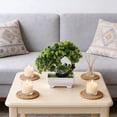 thumbnail image 1 of Kbndieu Green Artificial Bonsai Tree Fake Plants Decor Small Faux Plants Indoor with Pot for Home Bedroom Table Office Desk Bathroom Shelf Farmhouse Decorations, 1 of 6