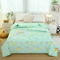 thumbnail image 1 of Kbndieu Washable Printed Quilt, Lightweight Quilt for Summer Ultra-Soft Microfiber Modern Style Quilted Bedding for All Season, Exquisite, Queen Size on Clearance, 1 of 1