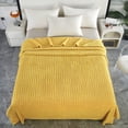 thumbnail image 1 of Kchsji Fleece Throw Blanket Soft Plush Couch Sofa Blanket All Seasons Bed Cover Home Decor for Living Room for Bedroom for Office, Perfect for Travel, Outdoor Activities, Cozy Warmth, Lounging, 1 of 6