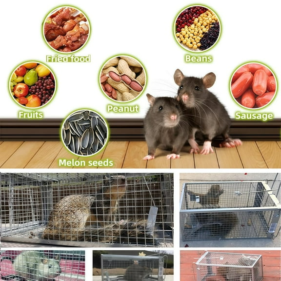 Kchsji Humane Mouse Trap with Transparent Case, Escape-Proof Sensitive Mechanism Safe for Household Families, Easy Monitoring Bait Theft Prevention No Chemicals Needed for Indoor Pest Control