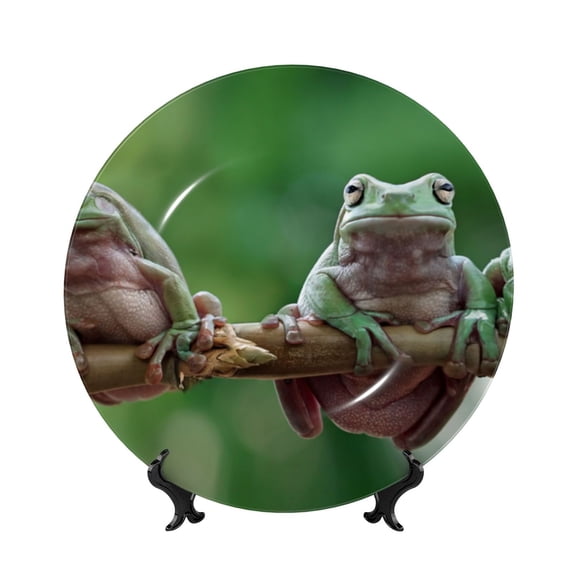 Kdxio Australian White Tree Frog Sitting on Branch Bone China Decorative Plate Ceramic Decorative Plate for Home Office Wall Stand Decorative Plates for Home Bedroom-10in