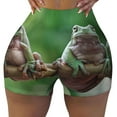thumbnail image 1 of Kdxio Australian White Tree Frog Sitting on Branch Print Workout Shorts for Women Seamless Soft Smooth Gym Yoga Scrunch Active Shorts, 1 of 9
