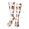 thumbnail image 1 of Kdxio Autumn Gnomes-1 Funny Silky Novelty Funky Long Knee High Socks Soft 3D Print Cosplay Crazy Stockings for Men Women, 1 of 8