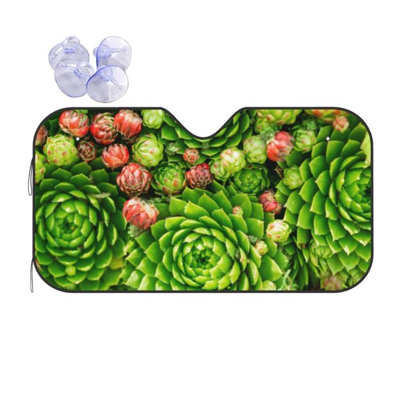 Kdxio Cactus And Succulents Print Front Windshield Sun Shade,Folding Auto Sunshade for Car Truck SUV-Small