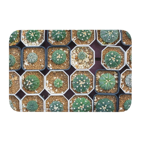 Kdxio Cactus Garden,16" x 24", Non-Slip Front Door Mats,Outdoor Welcome Mat Washable