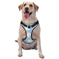 thumbnail image 1 of Kdxio Cartoon Sushi Print No Pull Dog Harness Adjustable Reflective Oxford Easy Control Medium Large Dog Harness for Training and Everyday-Large, 1 of 8