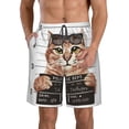 thumbnail image 1 of Kdxio Cat Holding Mugshot Sign Pattern Mens Casual Shorts - Drawstring Summer Beach Sports Shorts for Men, 1 of 9