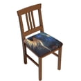 thumbnail image 1 of Kdxio Chair Seat Covers Starry Light White Horse Print Chair Covers for Dining Room Square Washable Chair Protector Seat(Four Pieces), 1 of 5