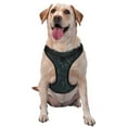 thumbnail image 1 of Kdxio Chemistry Formulas 2 Print No Pull Dog Harness Adjustable Reflective Oxford Easy Control Medium Large Dog Harness for Training and Everyday-Large, 1 of 5