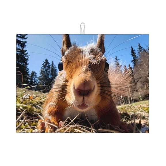 Kdxio Close-Up Curious Squirrel for Dish Drying Mat,24*18 inch Absorbent Dish Drainer Kitchen Counter,Large Size Dish Drying Pad for Countertops,Draining Racks