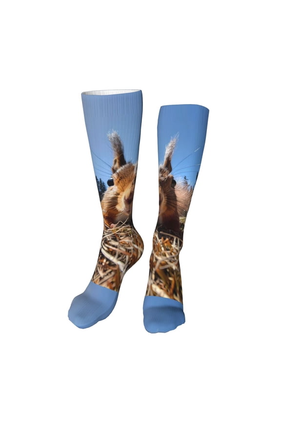 Close-Up Curious Squirrel Funny Silky Novelty Funky Long Knee High Socks Soft 3D Print Cosplay Crazy Stockings for Men Women