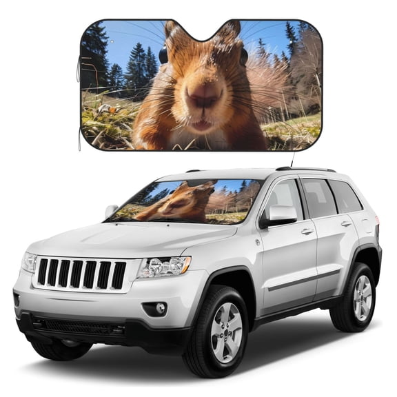 Kdxio Close-Up Curious Squirrel Print Windshield Sun Shade, Foldable Sun Blocker for Car,Truck,SUV Automotive Interior Sun Protection,Reflective Shade for Front Windshield(Medium)