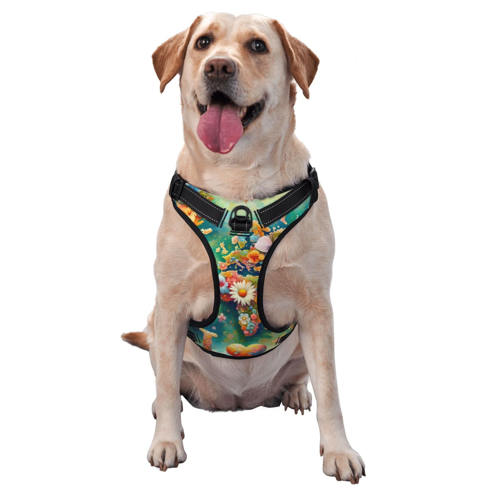 Kdxio Colorful World Map Print No Pull Dog Harness Adjustable Reflective Oxford Easy Control Medium Large Dog Harness for Training and Everyday-X-Large