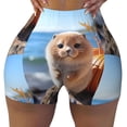 thumbnail image 1 of Kdxio Cute Guinea Pig Sea Print Workout Shorts for Women Seamless Soft Smooth Gym Yoga Scrunch Active Shorts, 1 of 5