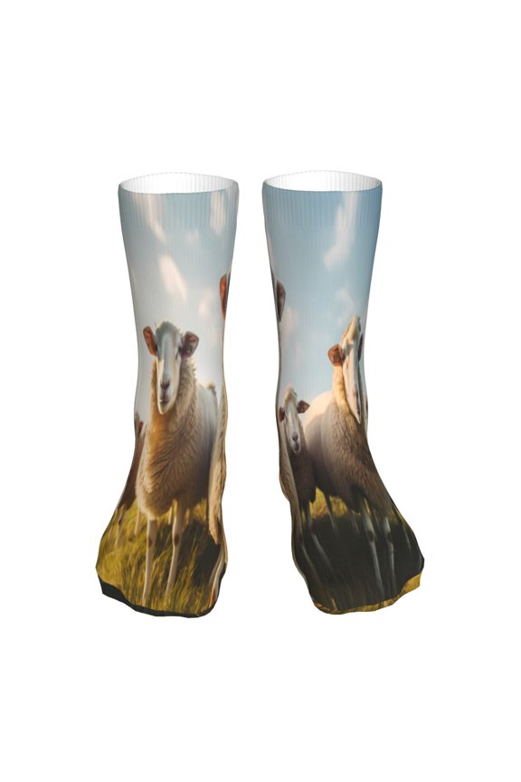 Cute Prairie Sheep Herd 