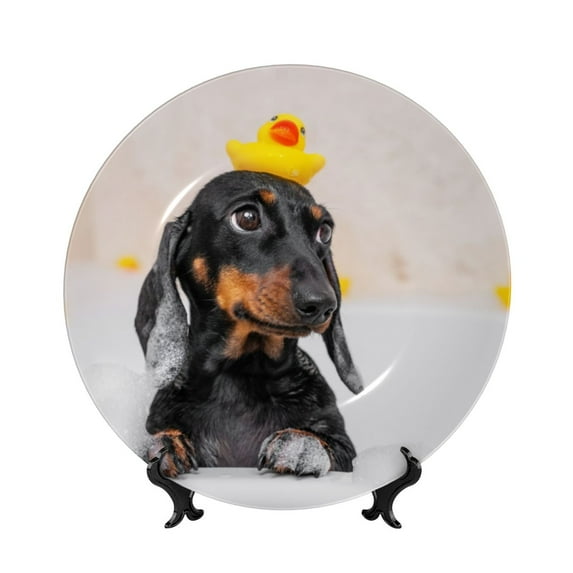 Kdxio Dachshund Sitting in Bathtub Bone China Decorative Plate Ceramic Decorative Plate for Home Office Wall Stand Decorative Plates for Home Bedroom-10in