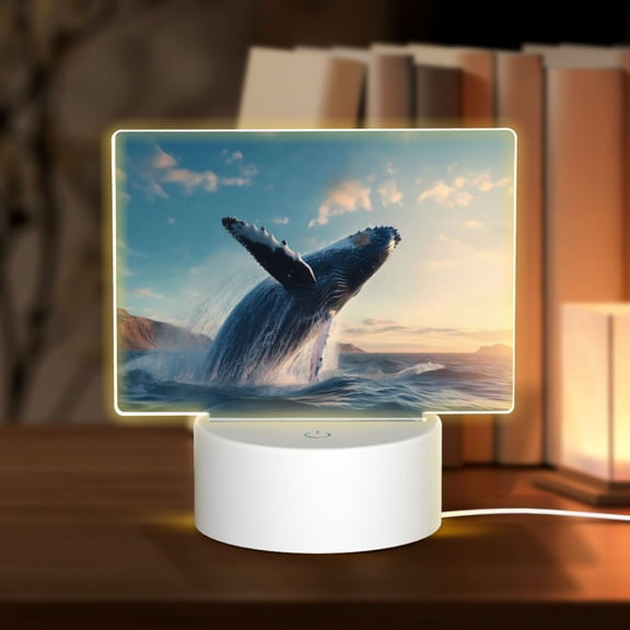 Kdxio Dancing Whale Rectangular Acrylic Night Light Acrylic Sleep Night Light Friend Gifts for Birthday Gifts for Women Teens Boys Girls