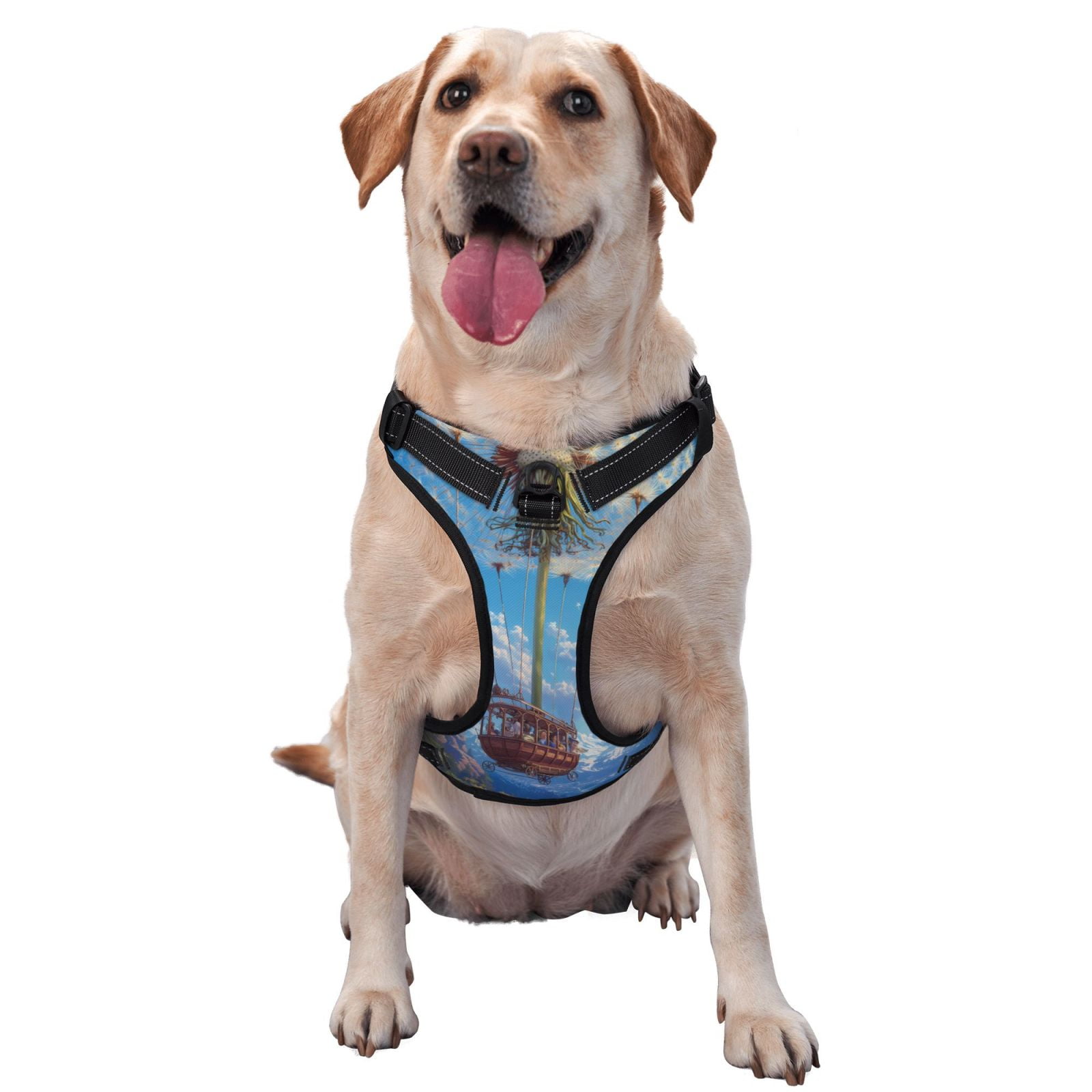 Kdxio Dandelion Hot Air Balloon Print No Pull Dog Harness Adjustable Reflective Oxford Easy Control Medium Large Dog Harness for Training and Everyday-X-Large