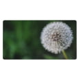 thumbnail image 1 of Kdxio Dandelion Print Large Gaming Mouse Pad,Non-Slip Base,Water Resist Keyboard Pad for Gamer,Office & Home,29.5 x 15.8 in, 1 of 6