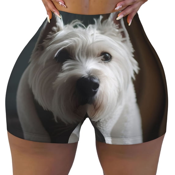 Kdxio Dog Wrapped in Towel 1 Print Workout Shorts for Women Seamless Soft Smooth Gym Yoga Scrunch Active Shorts