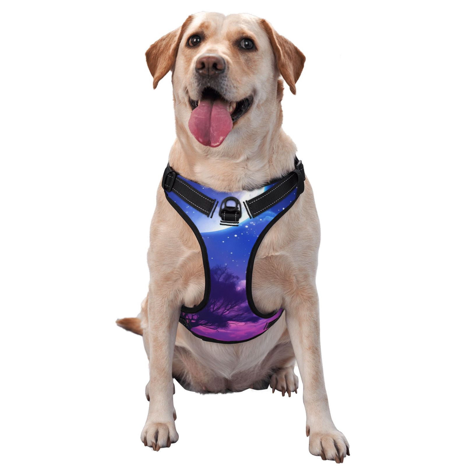 Kdxio Dreamy Colorful Starry Sky Print No Pull Dog Harness Adjustable Reflective Oxford Easy Control Medium Large Dog Harness for Training and Everyday-X-Large