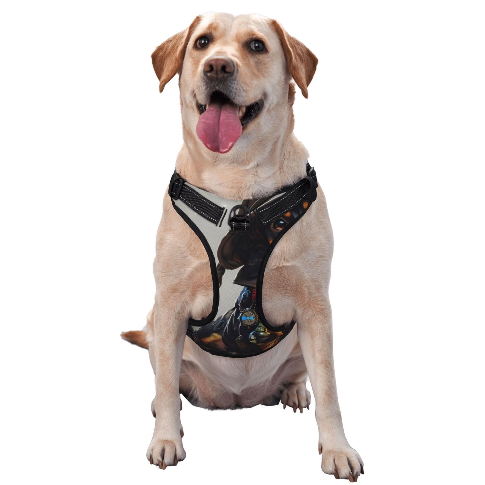 Kdxio Fantasy Wizard Dog Art Print No Pull Dog Harness Adjustable Reflective Oxford Easy Control Medium Large Dog Harness for Training and Everyday-X-Large