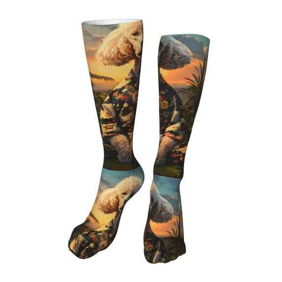 Kdxio Flower Field Poodle Funny Silky Novelty Funky Long Knee High Socks Soft 3D Print Cosplay Crazy Stockings for Men Women